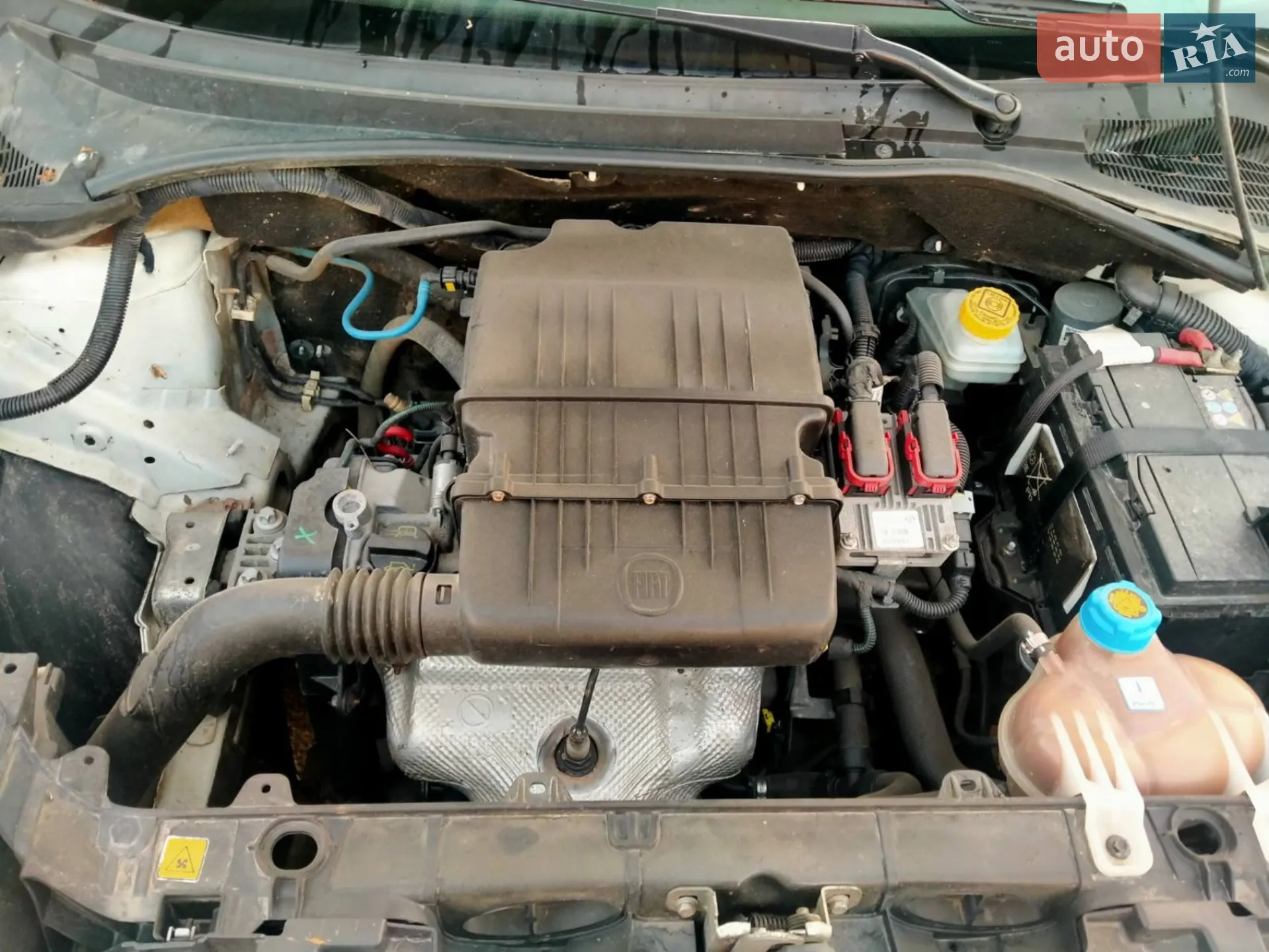 2011 Fiat Punto - мініатюра 5