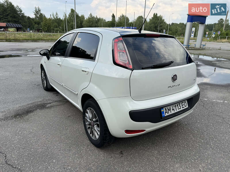Хэтчбек Fiat Punto 2011 в Житомире фото 30 Хэтчбек Fiat Punto 2011 в Житомире