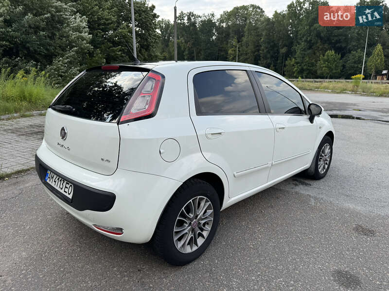 Хэтчбек Fiat Punto 2011 в Житомире фото 34 Хэтчбек Fiat Punto 2011 в Житомире