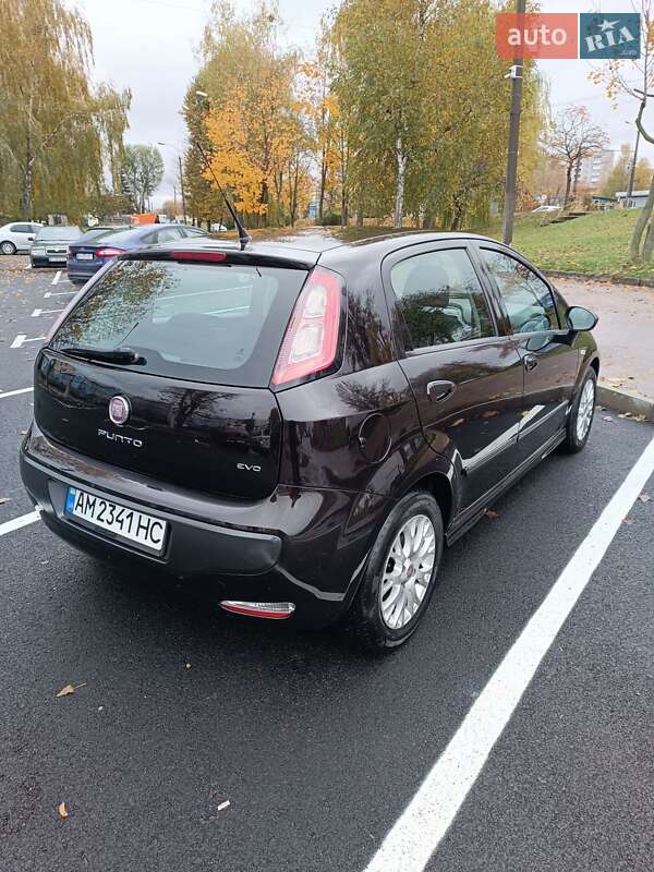 Хетчбек Fiat Punto 2011 в Житомирі фото 31 Хетчбек Fiat Punto 2011 в Житомирі
