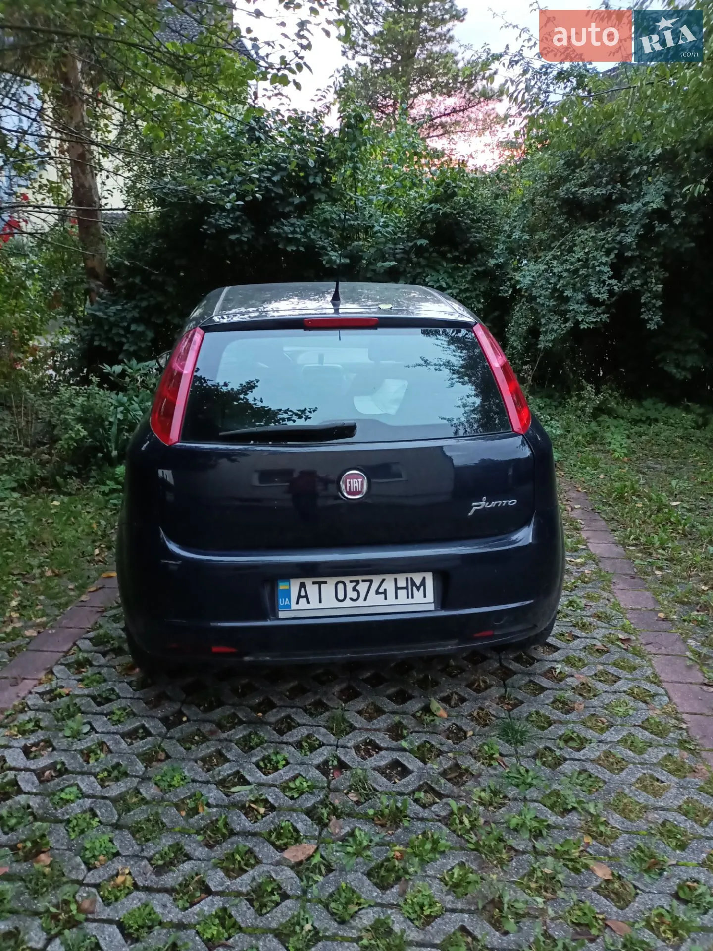 2011 Fiat Punto - мініатюра 6