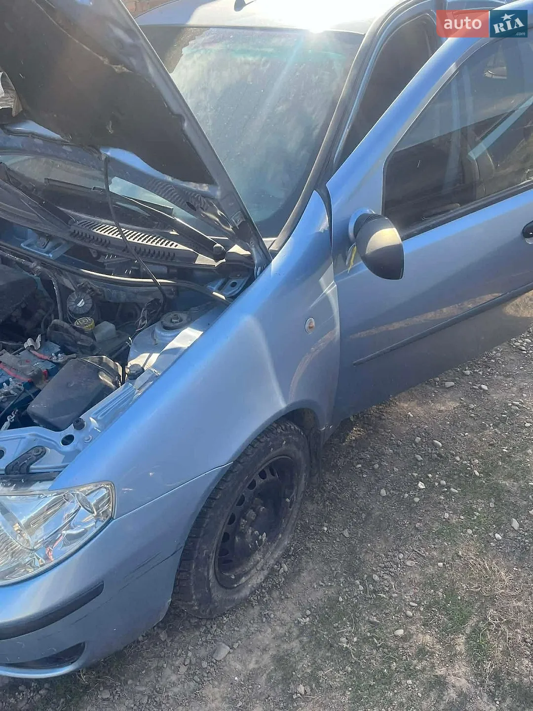 2010 Fiat Punto - мініатюра 5