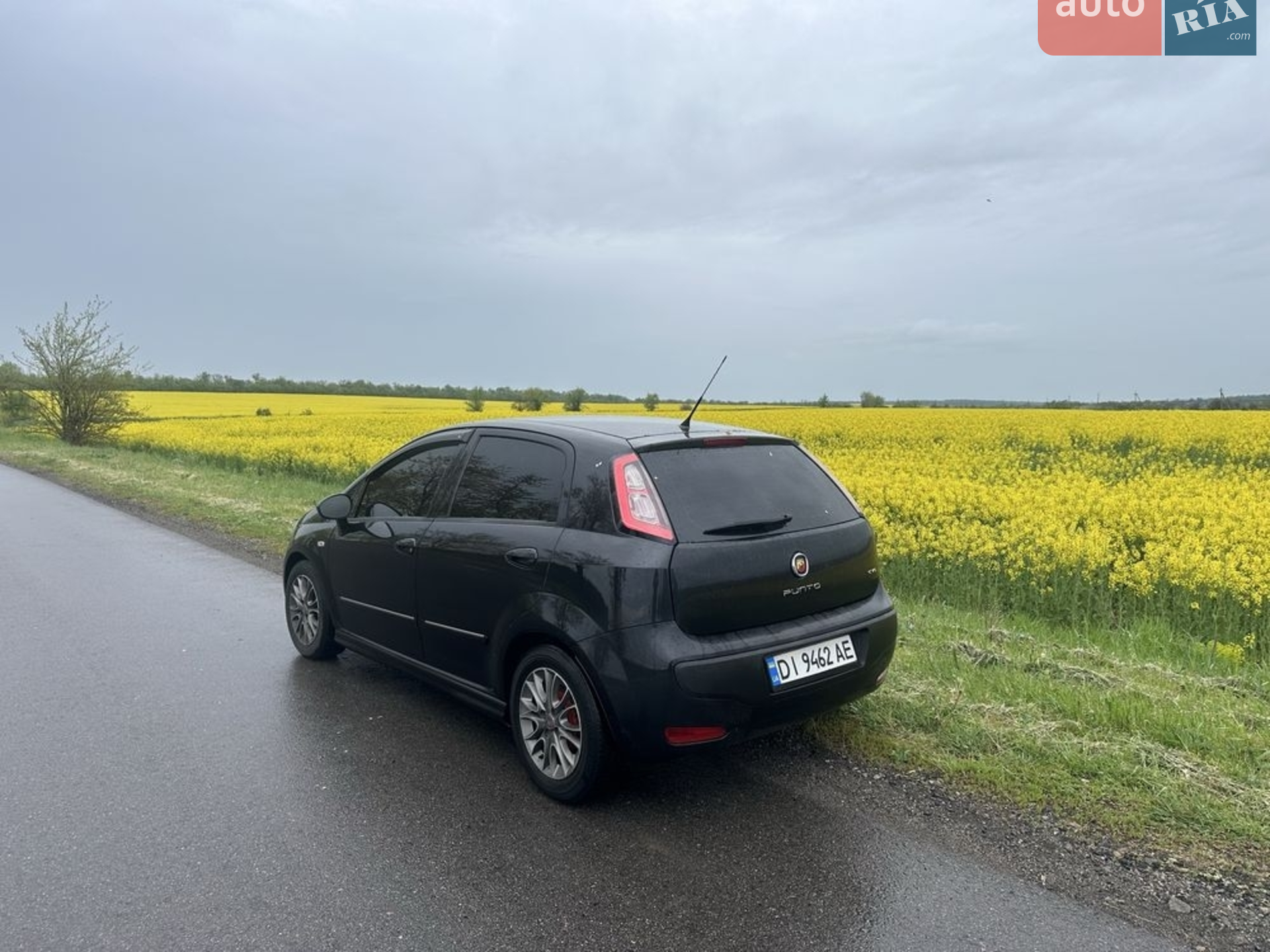 2010 Fiat Punto - мініатюра 2