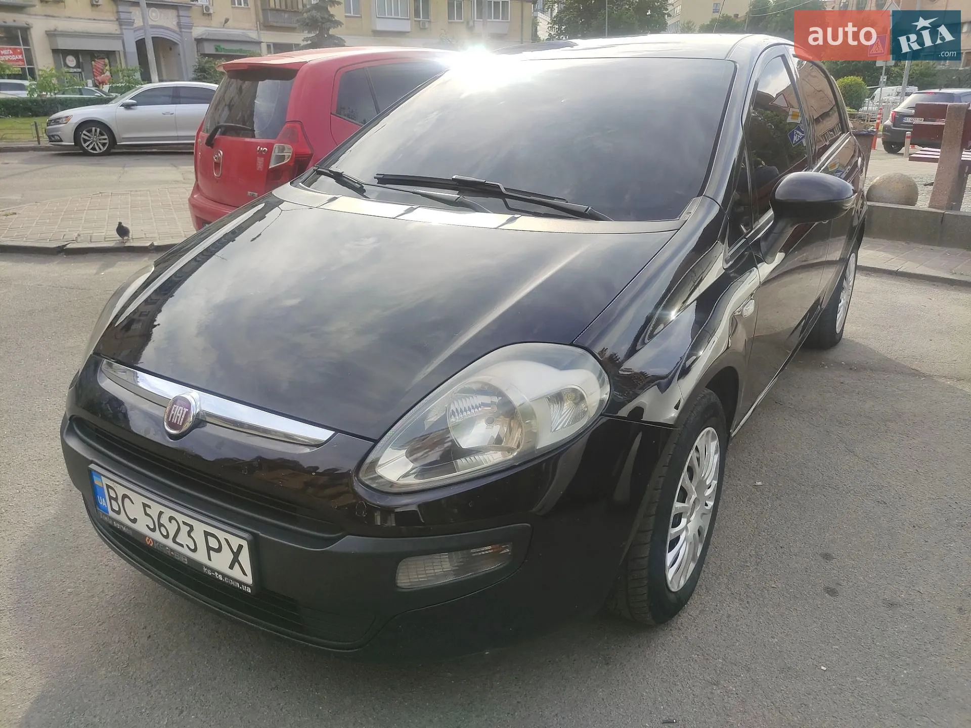 2011 Fiat Punto - мініатюра 3