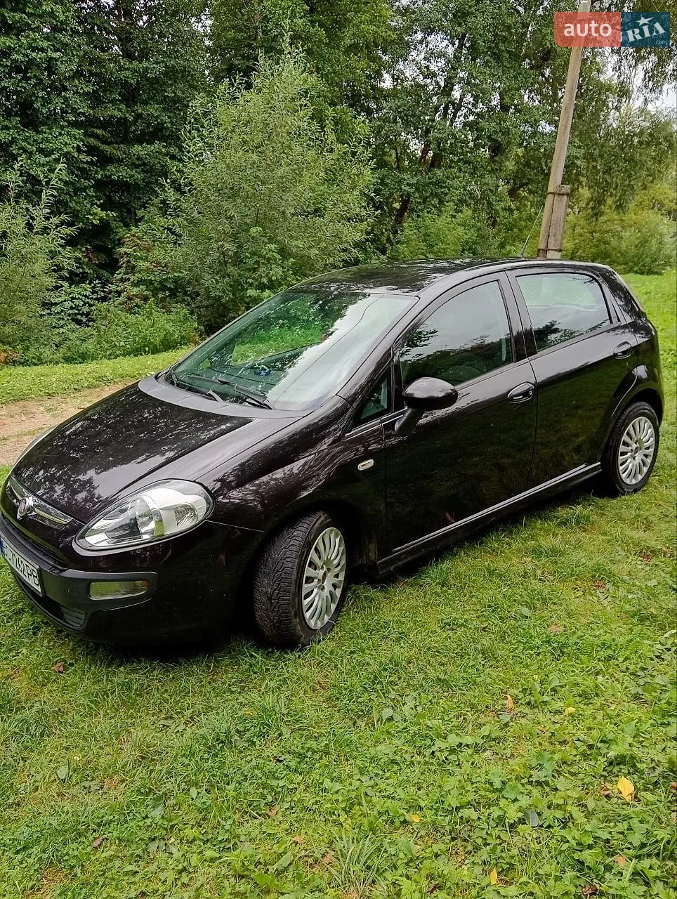 2010 Fiat Punto - фото 1