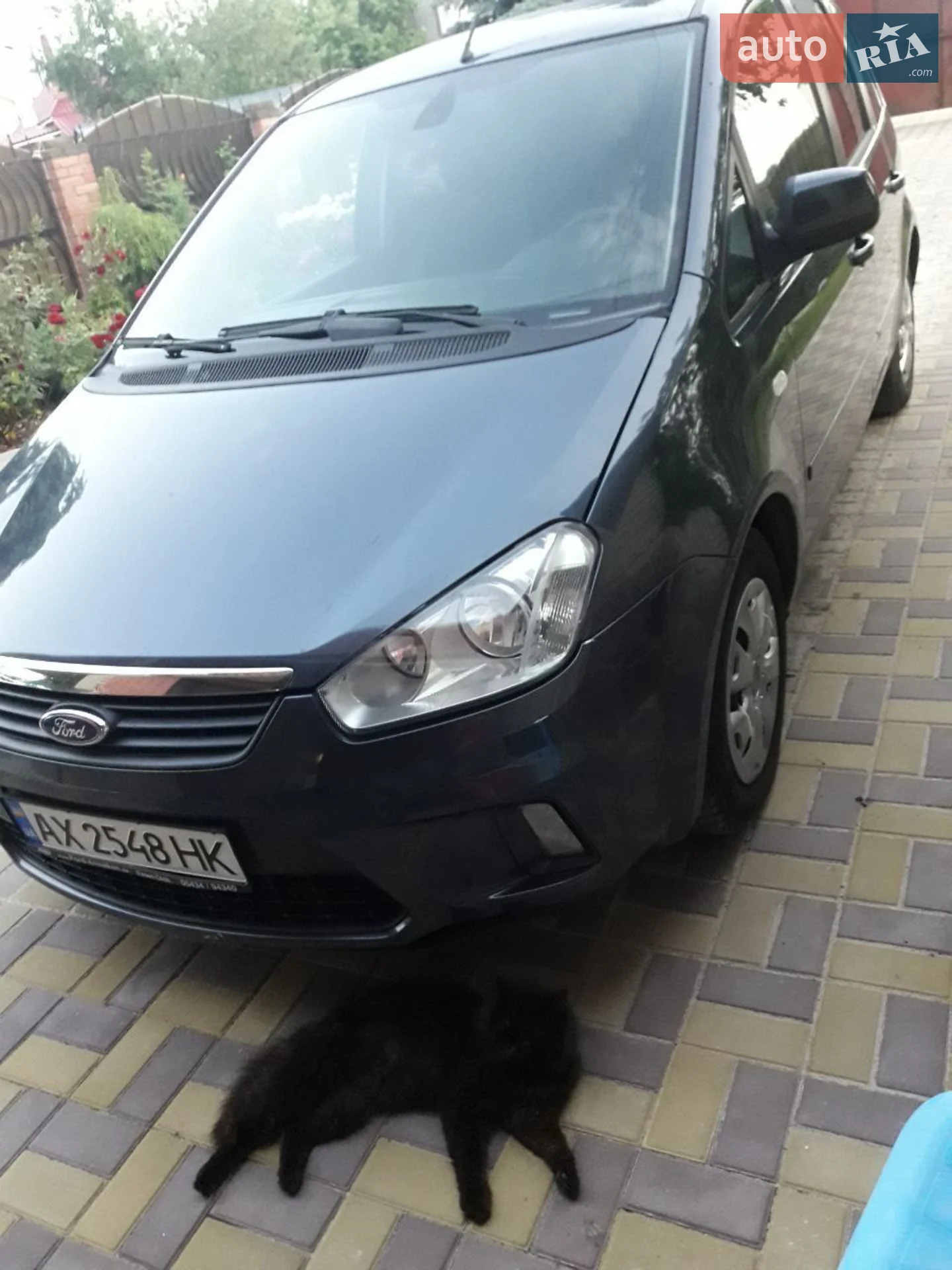 2010 Ford C-MAX - фото 1