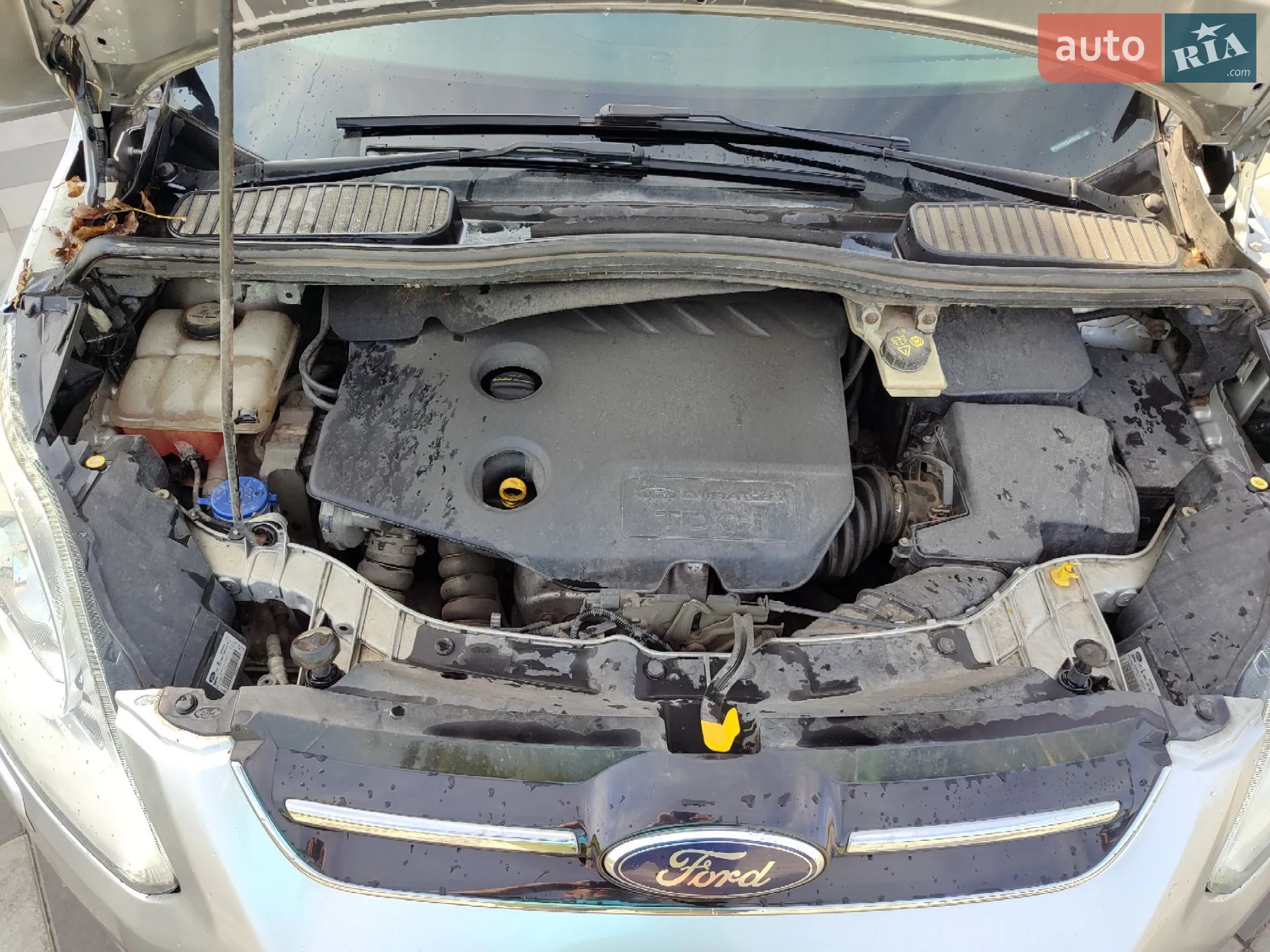 2010 Ford C-MAX - мініатюра 16