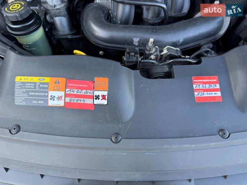 Мінівен Ford C-Max 2009 в Долині