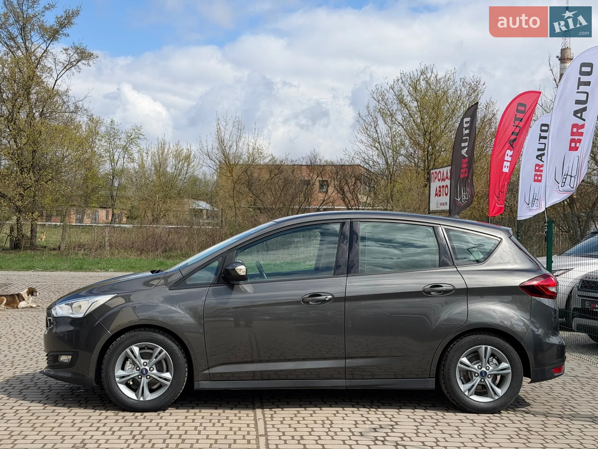2018 Ford C-MAX - мініатюра 12