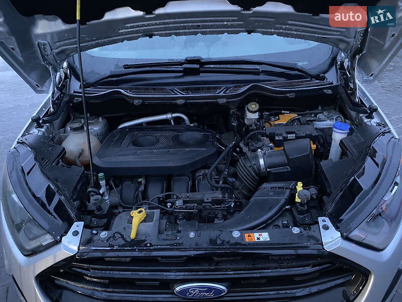 Внедорожник / Кроссовер Ford EcoSport 2019 в Ивано-Франковске фото 25 Внедорожник / Кроссовер Ford EcoSport 2019 в Ивано-Франковске