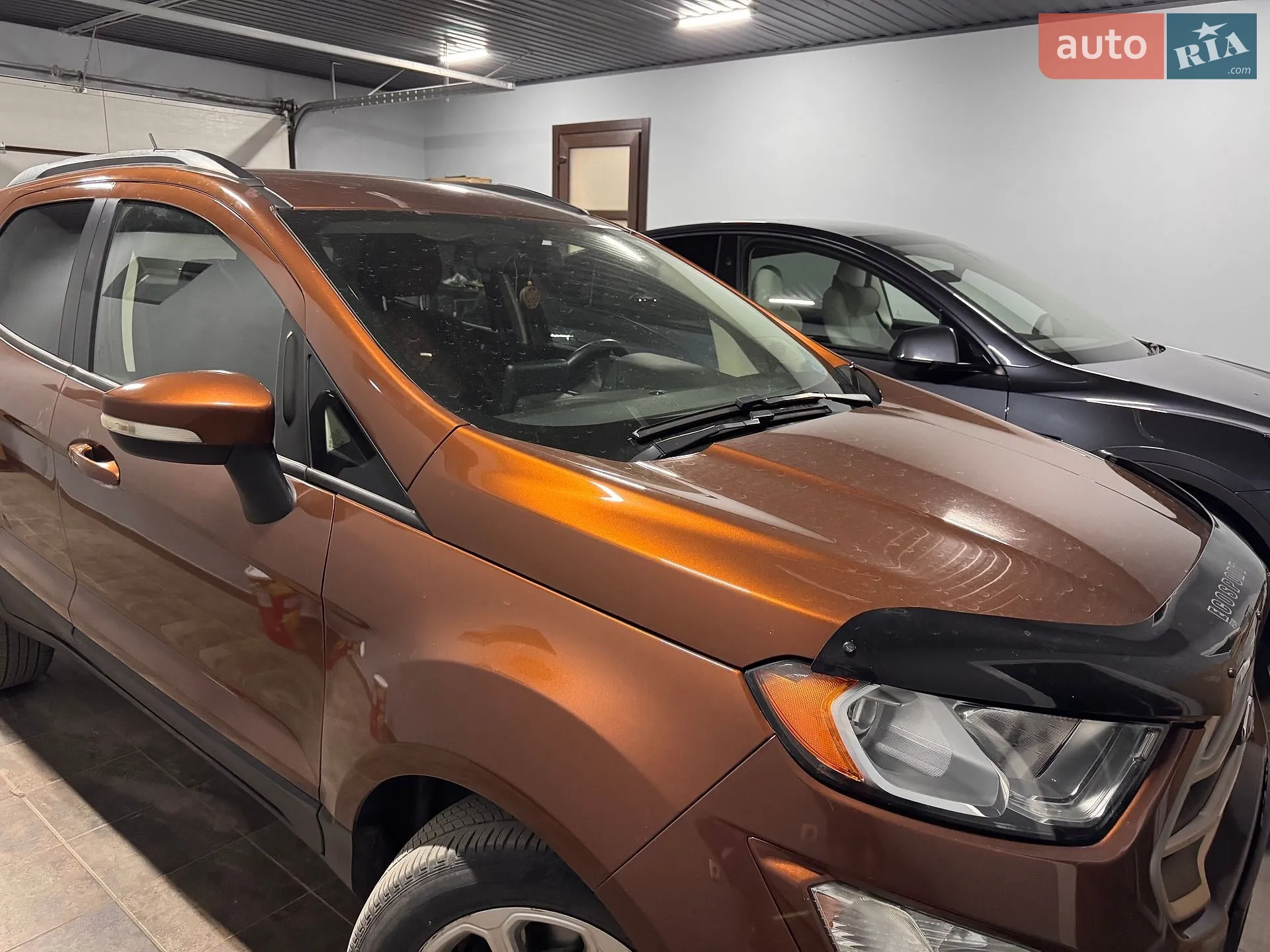 2019 Ford EcoSport - мініатюра 3