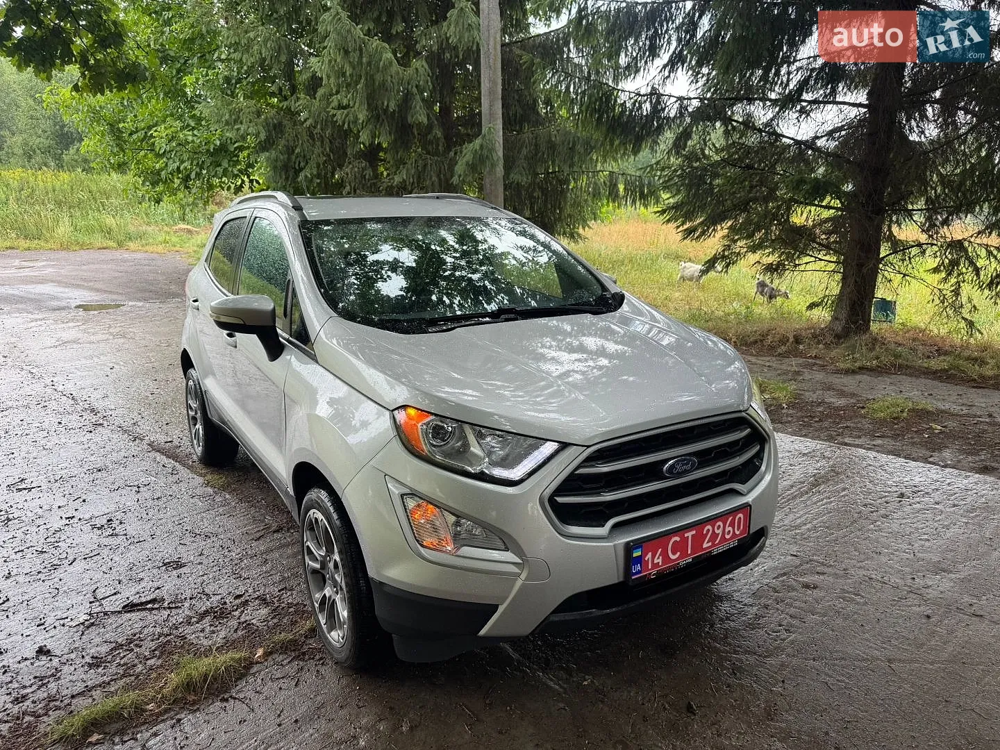2018 Ford EcoSport - мініатюра 2