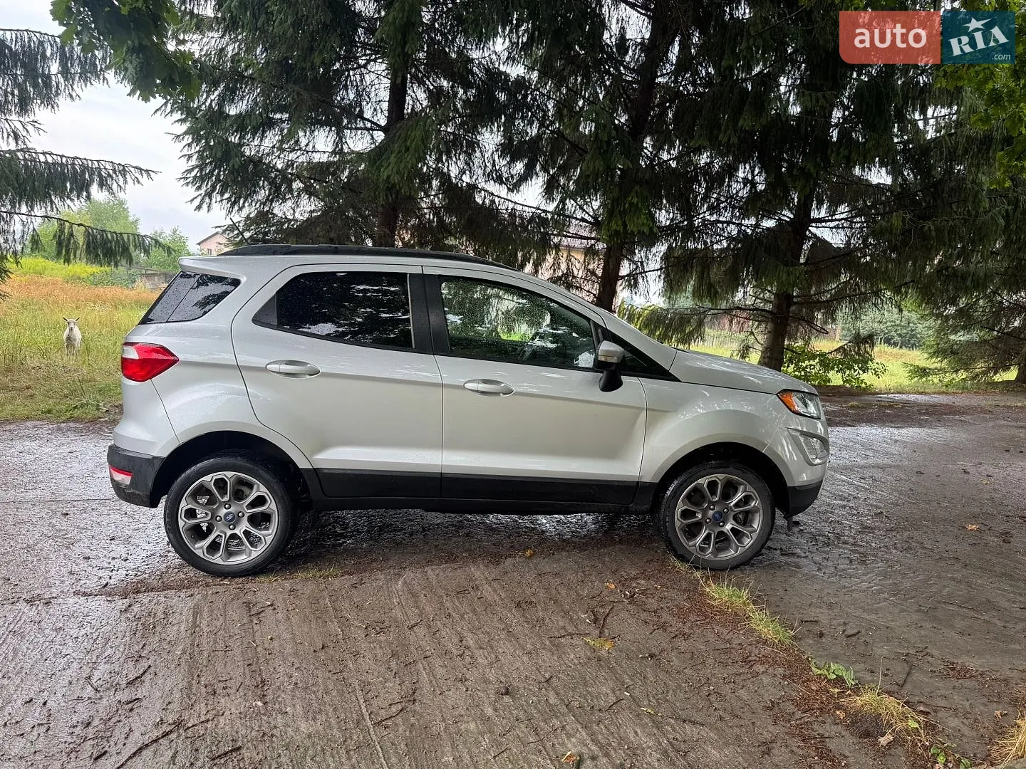 2018 Ford EcoSport - мініатюра 10