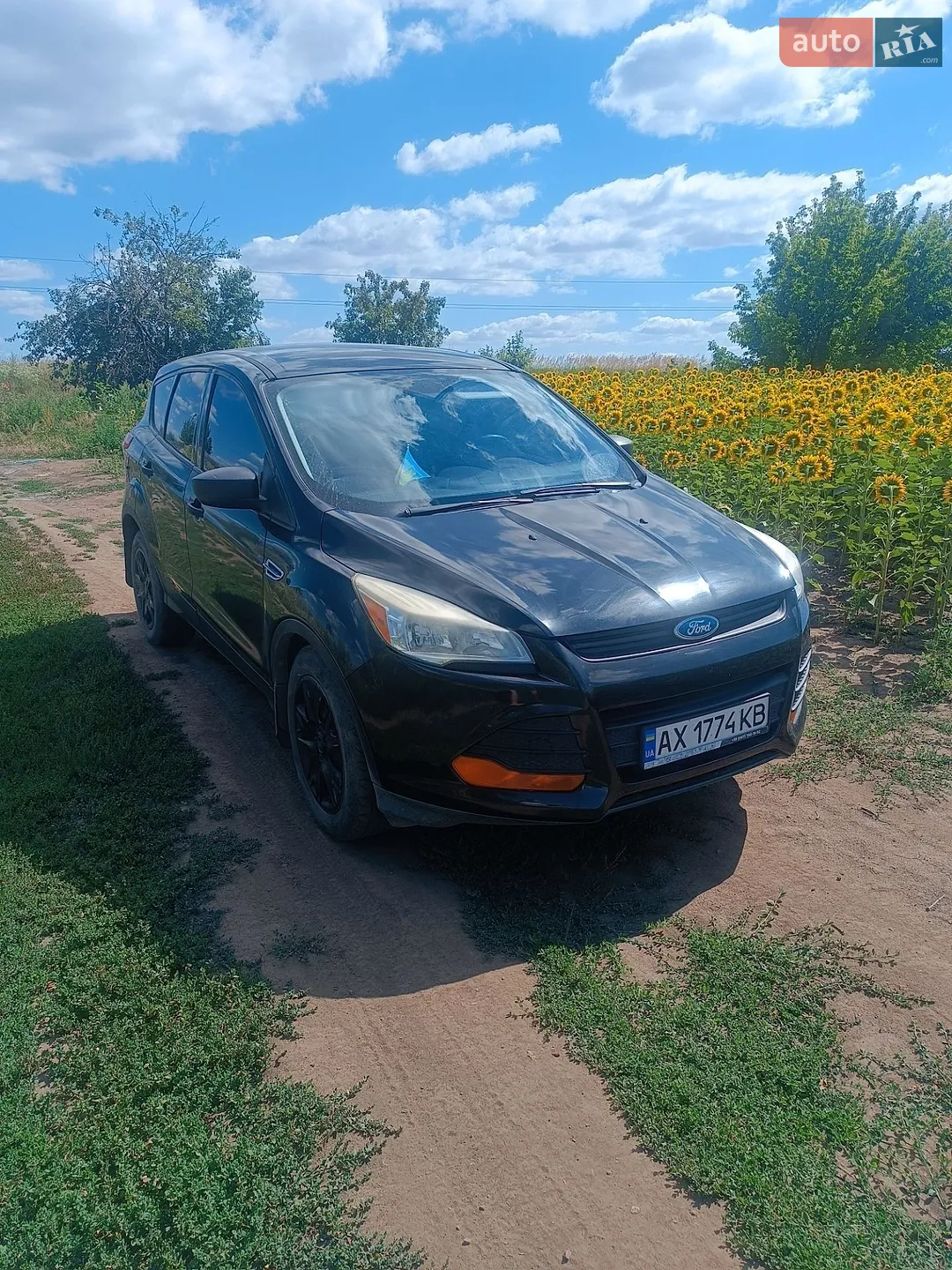 2014 Ford EcoSport - мініатюра 8