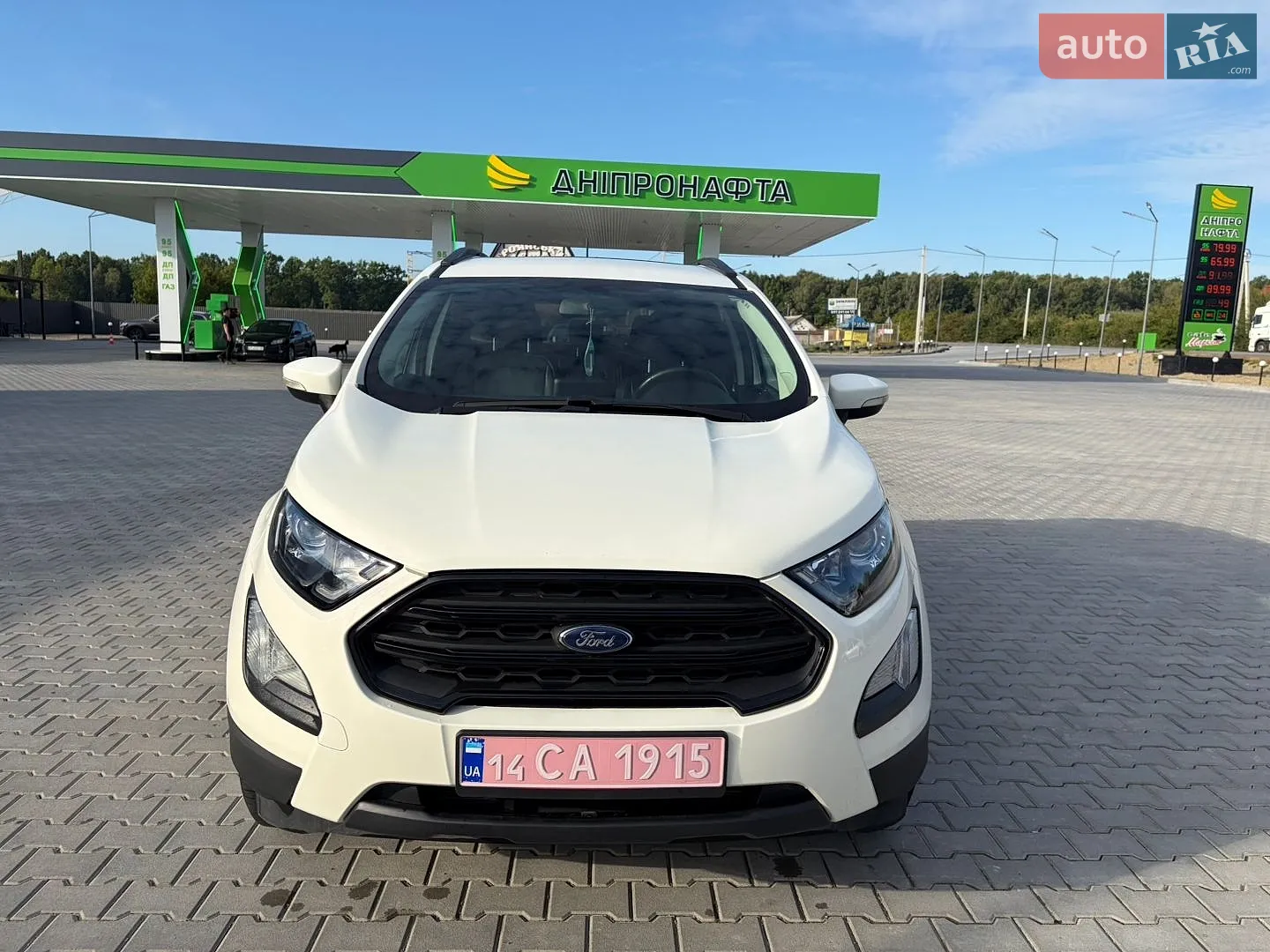 2019 Ford EcoSport - мініатюра 2