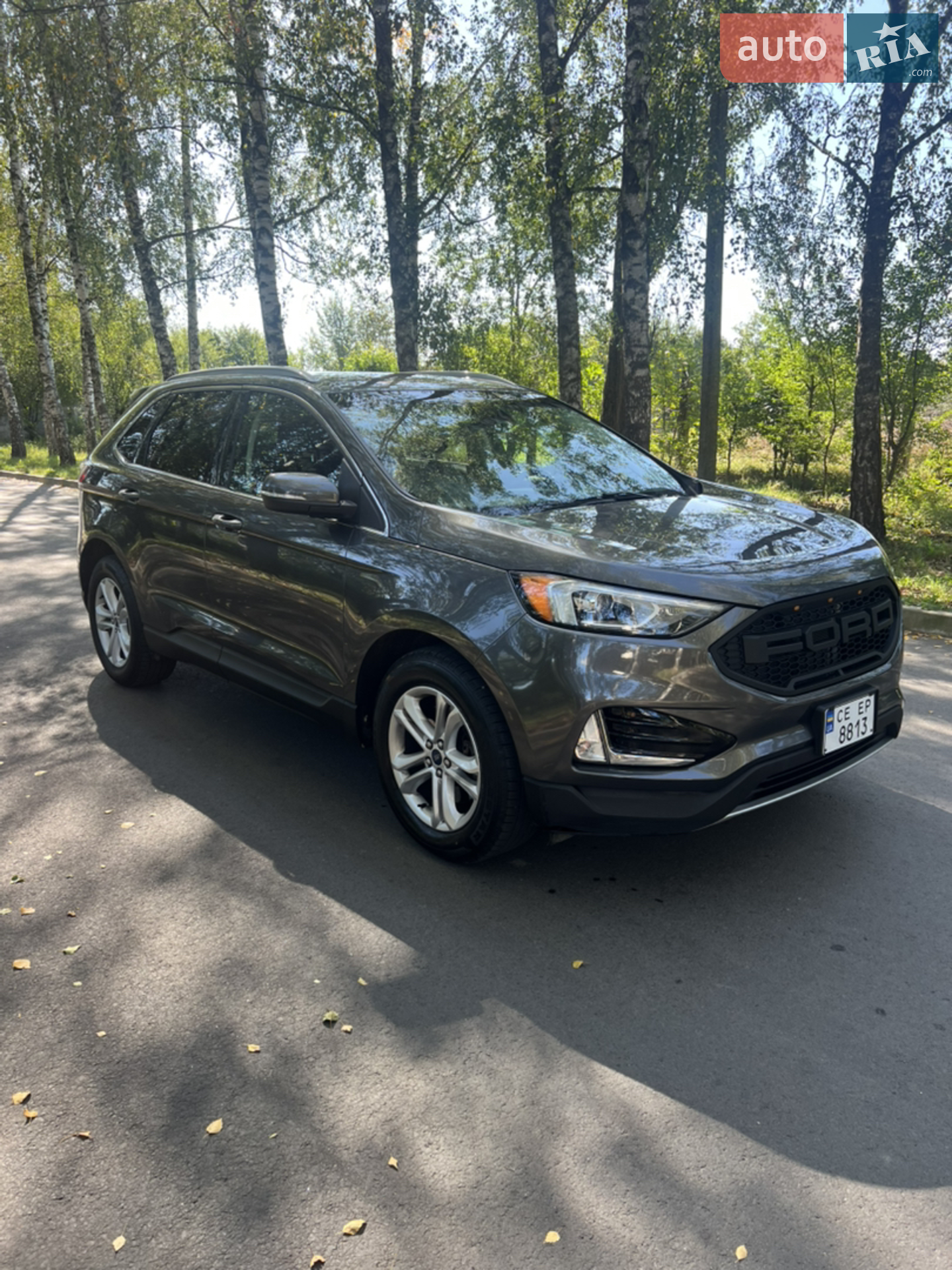 2019 Ford Edge - мініатюра 4