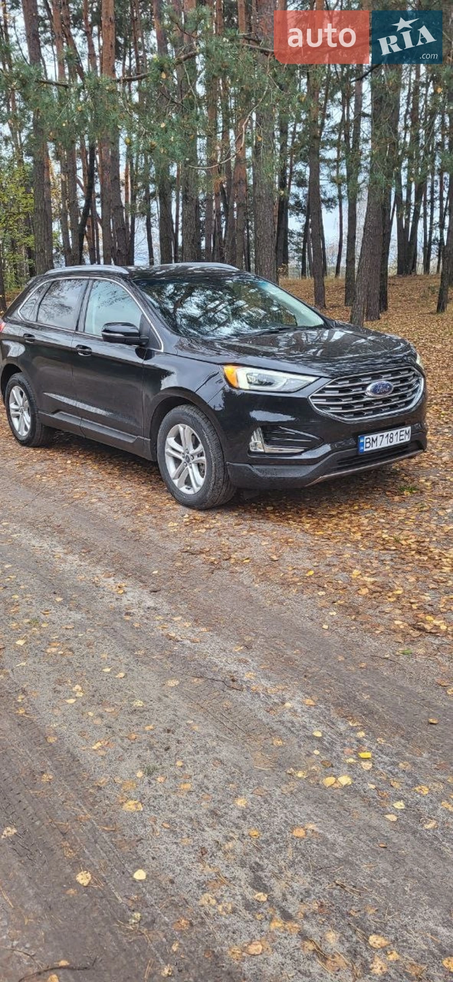 2019 Ford Edge - мініатюра 3