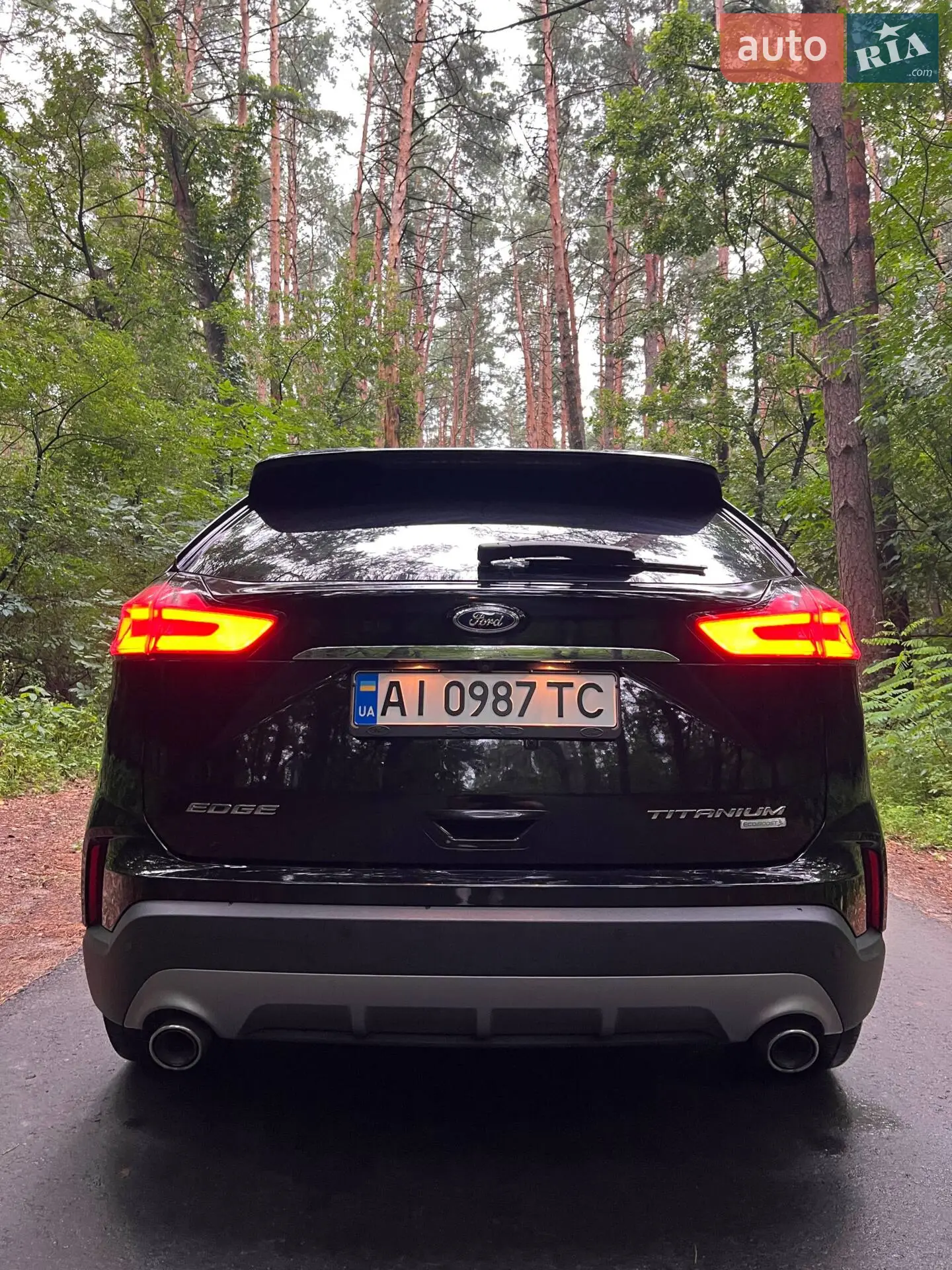 2019 Ford Edge - мініатюра 6