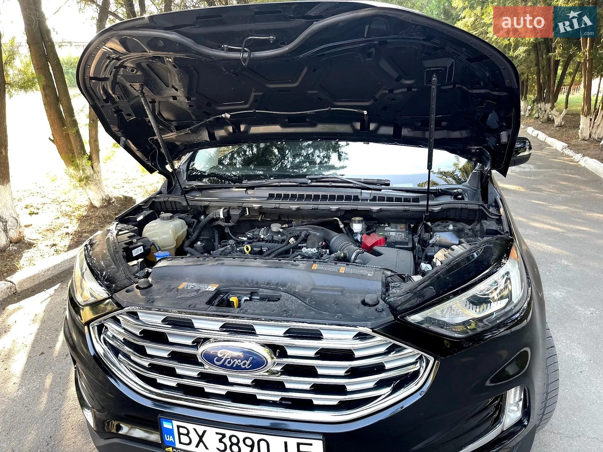 2019 Ford Edge - мініатюра 13