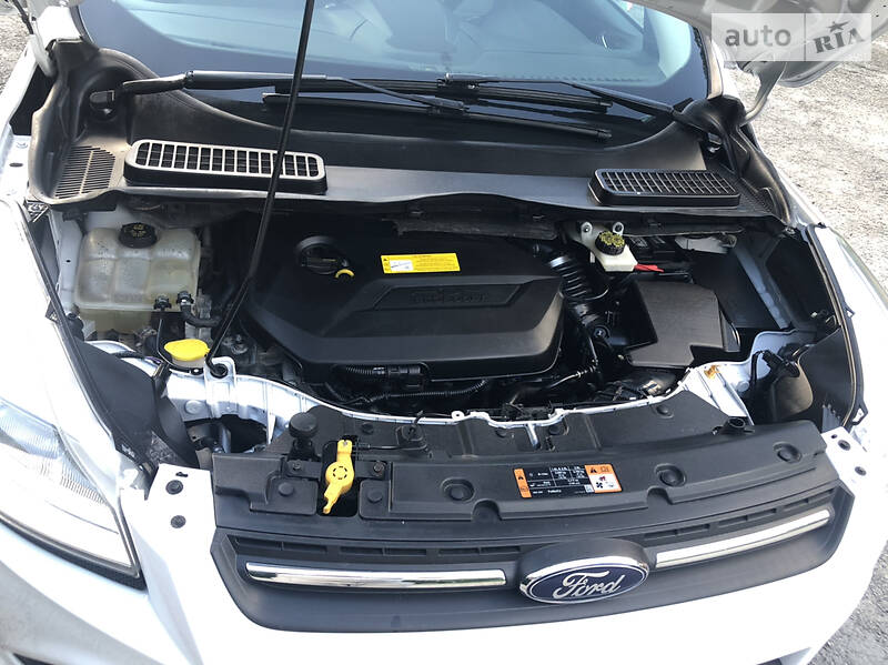 Позашляховик / Кросовер Ford Escape 2014 в Бережанах