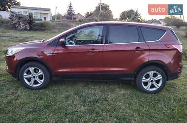 Позашляховик / Кросовер Ford Escape 2016 в Шептицькому