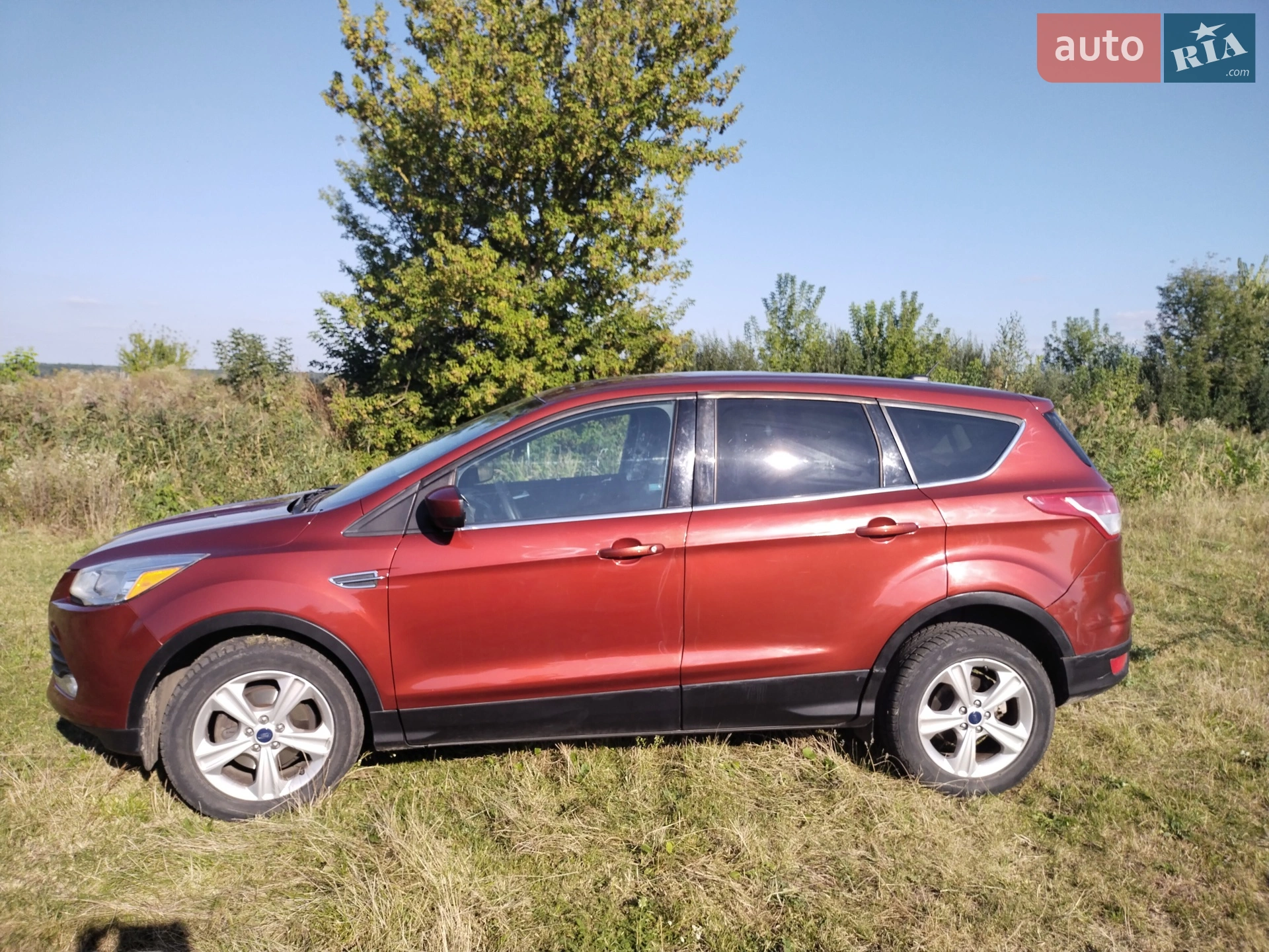 2016 Ford Escape - мініатюра 12