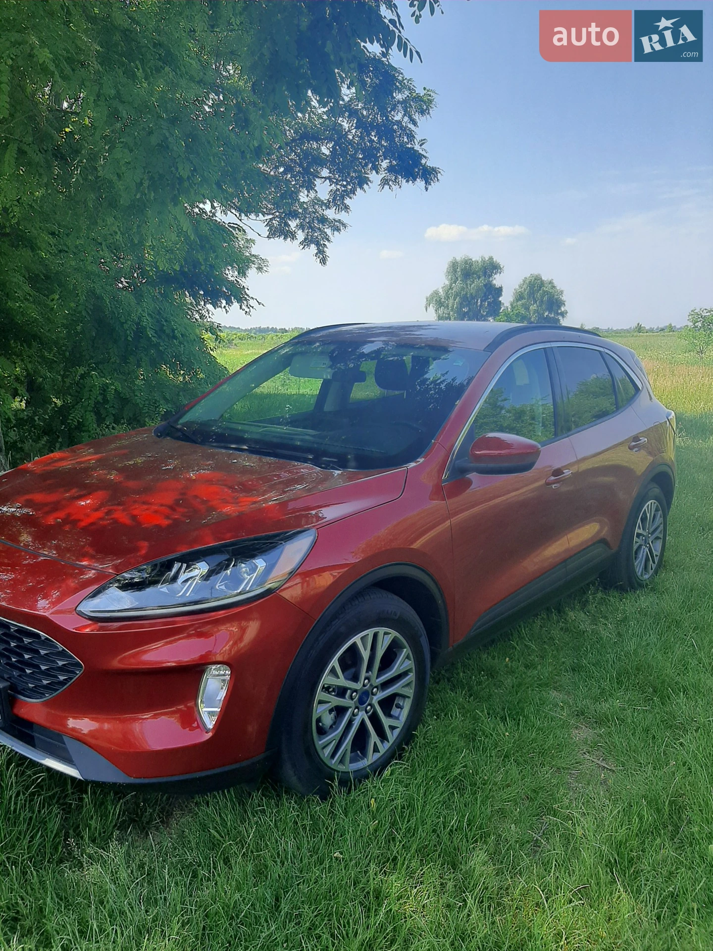2021 Ford Escape - мініатюра 2