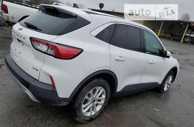 Позашляховик / Кросовер Ford Escape 2020 в Чернівцях