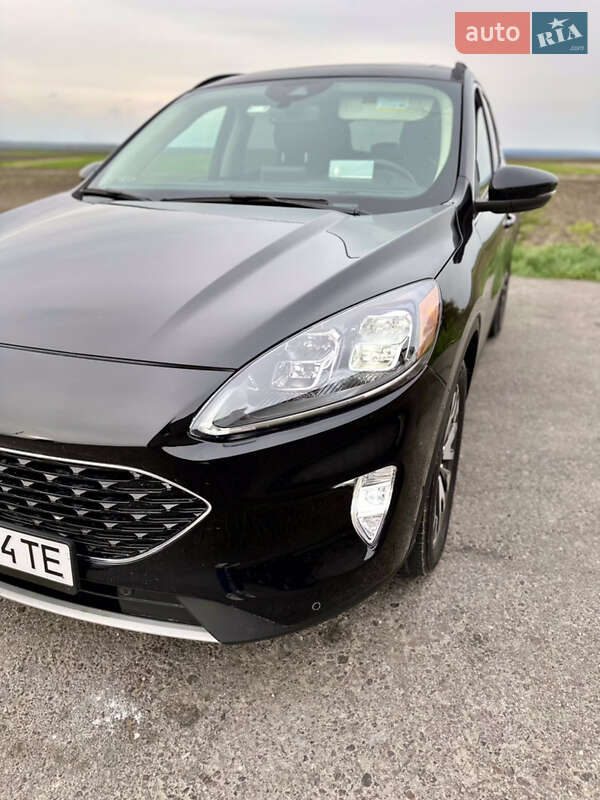 Позашляховик / Кросовер Ford Escape 2020 в Золочеві