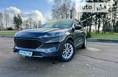 Позашляховик / Кросовер Ford Escape 2020 в Житомирі