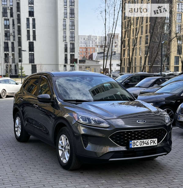 Позашляховик / Кросовер Ford Escape 2019 в Львові