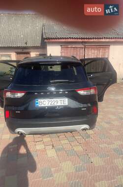 Позашляховик / Кросовер Ford Escape 2020 в Золочеві