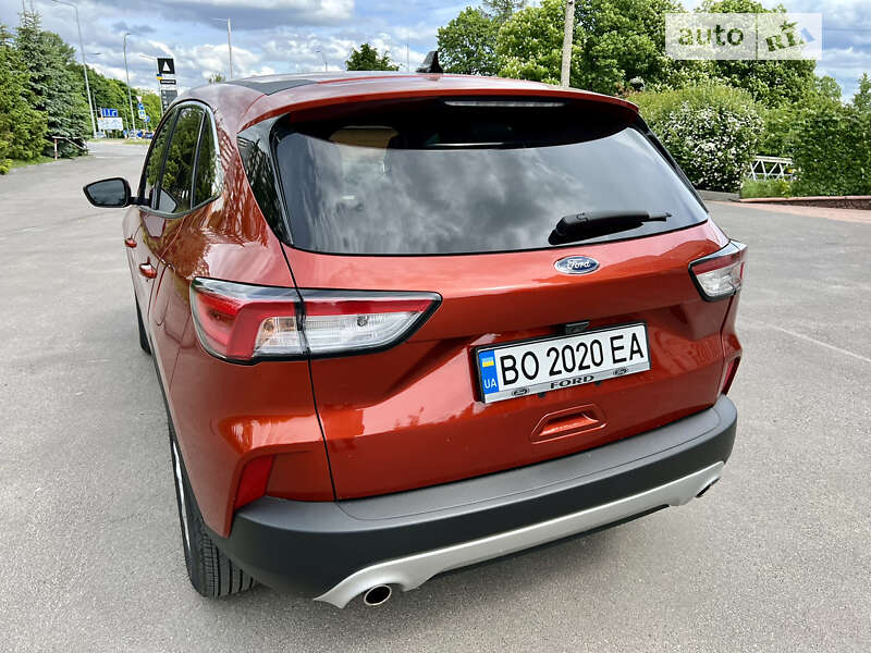 Внедорожник / Кроссовер Ford Escape 2019 в Тернополе