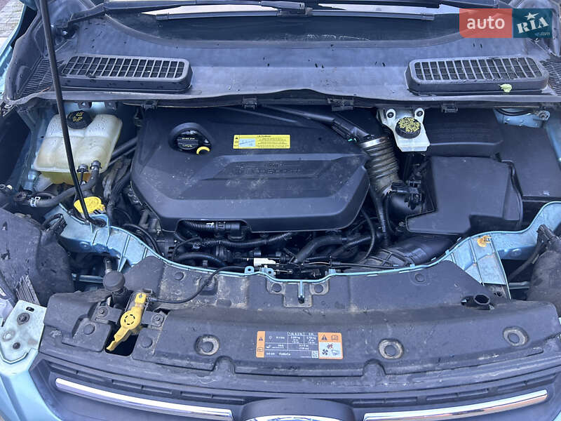 Внедорожник / Кроссовер Ford Escape 2013 в Луцке фото 40 Внедорожник / Кроссовер Ford Escape 2013 в Луцке