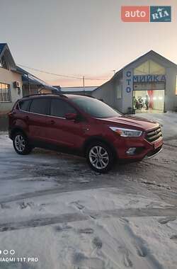 Позашляховик / Кросовер Ford Escape 2019 в Львові