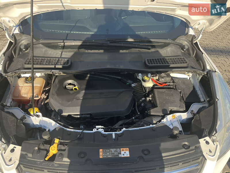 Внедорожник / Кроссовер Ford Escape 2014 в Трускавце