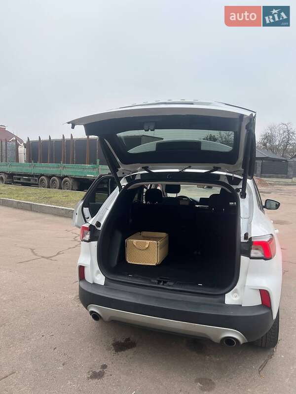 Внедорожник / Кроссовер Ford Escape 2021 в Житомире