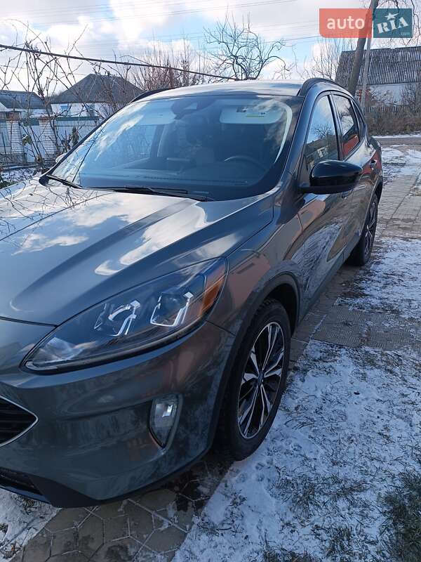 Внедорожник / Кроссовер Ford Escape 2021 в Киеве