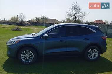 Внедорожник / Кроссовер Ford Escape 2020 в Рава-Русской