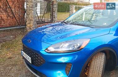 Внедорожник / Кроссовер Ford Escape 2021 в 