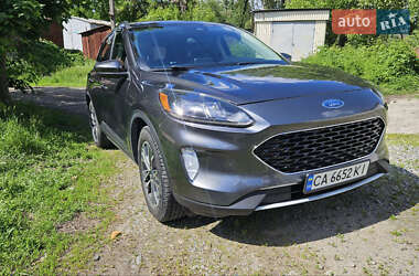 Внедорожник / Кроссовер Ford Escape 2020 в Умани