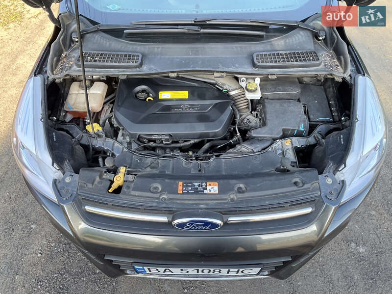 Внедорожник / Кроссовер Ford Escape 2016 в Гайвороне