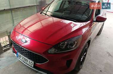 Внедорожник / Кроссовер Ford Escape 2020 в Запорожье