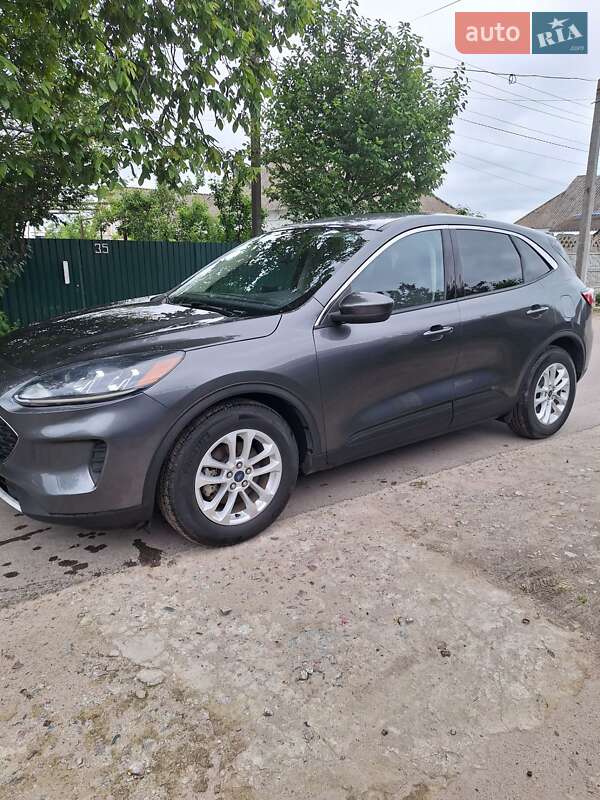 Внедорожник / Кроссовер Ford Escape 2020 в Белой Церкви