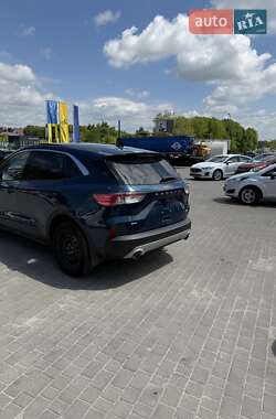 Внедорожник / Кроссовер Ford Escape 2019 в 