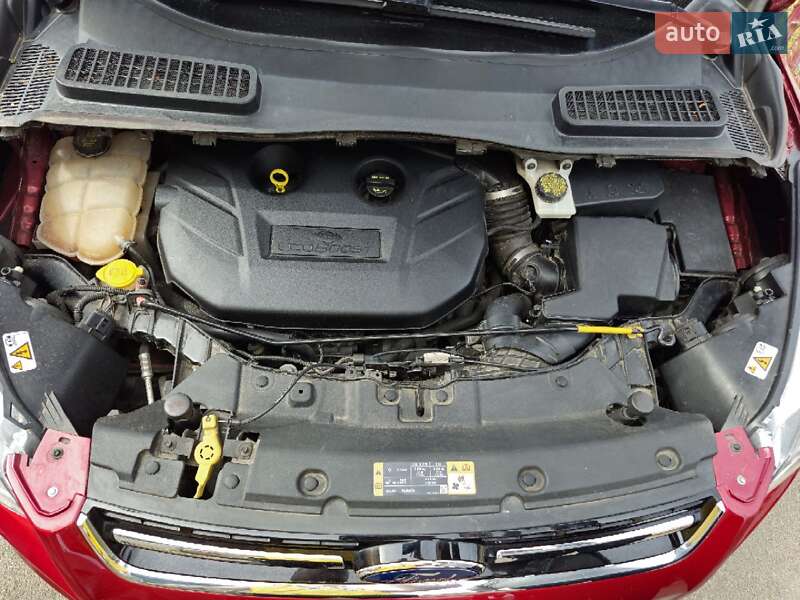 Позашляховик / Кросовер Ford Escape 2015 в Коростені