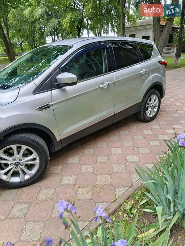 Внедорожник / Кроссовер Ford Escape 2019 в Бершади