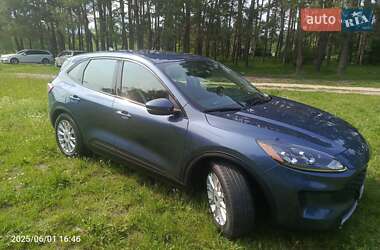 Позашляховик / Кросовер Ford Escape 2020 в Житомирі