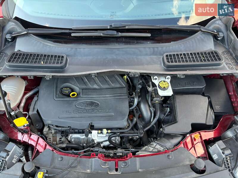 Позашляховик / Кросовер Ford Escape 2017 в Запоріжжі