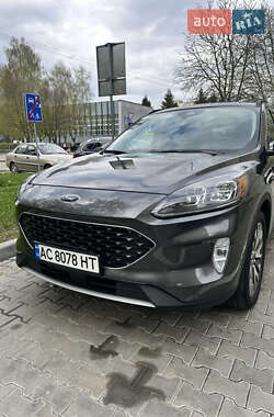 Позашляховик / Кросовер Ford Escape 2020 в Луцьку